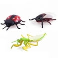 thumbnail image 3 of 12Pcs Simulation Insect Animal Model Kids Education Toy Miniature Garden Decor, 3 of 4