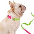 thumbnail image 2 of CHBORLESS Adjustable Dog Collar Colorful Pet Collar Webbing Soft Puppy Collar, 2 of 5
