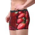 thumbnail image 4 of Daiia Berry Infused Refreshment Men's Underwear Boxer Briefs, Cotton Stretch Moisture-Wicking Underwear-Small, 4 of 9