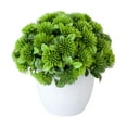 thumbnail image 5 of Realistic Artificial Plant Energetic Decorative Vivid UV-resistant Desktop Ornament Fake Bonsai Office Decor, 5 of 7