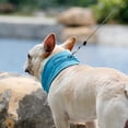 thumbnail image 4 of JUNTEX Dog Wearable Cooling Neck Wraps for Summer Heat Reusable Neck Cooler Supplies, 4 of 14