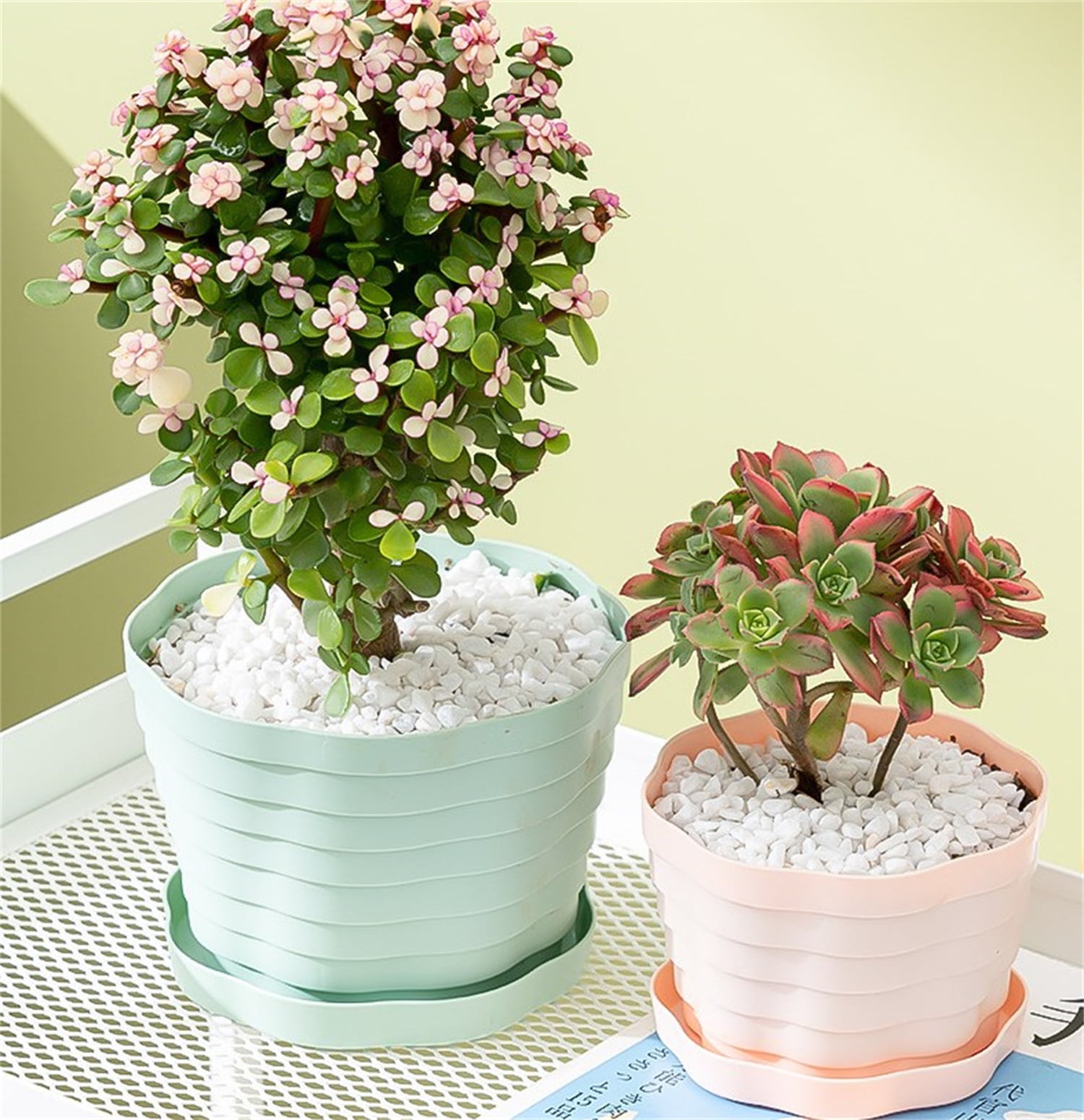 3 Pack Large Plastic Planters,Indoor Flower Plant Pots,Flower Seedlings Nursery Pot/Planter with Pallet, Plant Pots with Drainage Holes and Saucers,Plastic Flower Pots Seed Starting Pots for Plants