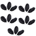 thumbnail image 2 of Walbest 15 Pcs Natural Ostrich Feathers Colored Soft Feather for Clothes Wedding Decor, 2 of 7