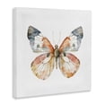 thumbnail image 2 of Stupell Industries Transitional Warm Watercolor Butterfly Canvas Art, 24 x 24, by Kim Allen, 2 of 8
