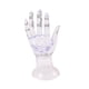 thumbnail image 5 of Soporte de exhibición de anillo modelo de mano Soporte de escritorio portátil para mostrador Soporte de mano de maniquí femenino Soporte de exhibición claro, 5 of 8