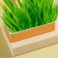thumbnail image 4 of Washranp Durable Plastic Growing Trays,Easy to Clean Cat Grass Planter with Detachable Bottom Double Layer Pot for Garden Accessories, 4 of 7