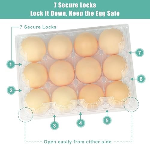 100 Packs Egg Cartons Cheap Bulk，Plastic for 12 Eggs, Clear Egg Cartons 3 * 4 Grids，Perfect for Refrigerator Chicken Farm Markets Commercial Business Market Display