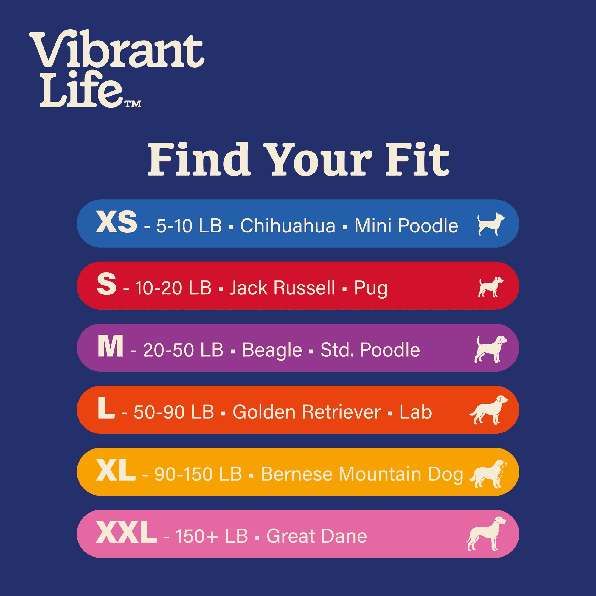 Vibrant Life 6' Padded Handle Rope Leash, Black, M/L