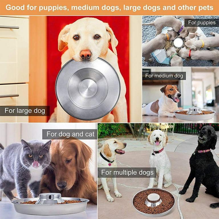 Puppy Dog Bowl, Stainless Steel Multiple Puppies Feeder, Dogs Basic Food  and Water Bowls Weaning Dish for Small, Medium and Large Dogs Pets - Yahoo  Shopping