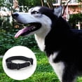 thumbnail image 3 of LED dog collar, USB rechargeable light-emitting pet collar, light-emitting night safety collar, 3 of 5