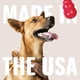 thumbnail image 5 of Juguete Dental KONG Rojo Grande para Perro, 5 of 9
