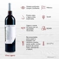 thumbnail image 2 of Vino Tinto Scielo MX syrah 750 ml, 2 of 4