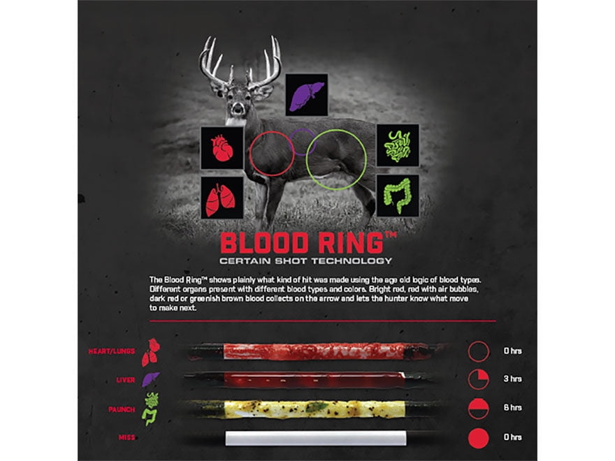 Bloodsport arrows cheap