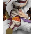 thumbnail image 3 of One Piece - XXRAY : Série Recherchée - Luffy Gear5, 3 of 5