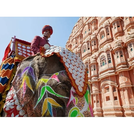 - India, Rajasthan, Jaipur, Ceremonial Decorated Elephant Outside the Hawa Mahal, Palace of the Winds Print Wall Art By Gavin Hellier