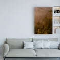thumbnail image 3 of Trademark Fine Art 'Autumn Forest Green' Canvas Art by PhotoINC Studio, 3 of 3