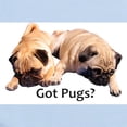 thumbnail image 2 of CafePress - Got Pugs? Infant Bodysuit - Baby Light Bodysuit, Size Newborn - 24 Months, 2 of 4