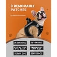 thumbnail image 3 of Chaleco FAYOGOO para perros de servicio, ligero, para razas pequeñas, con parches, 3 of 6