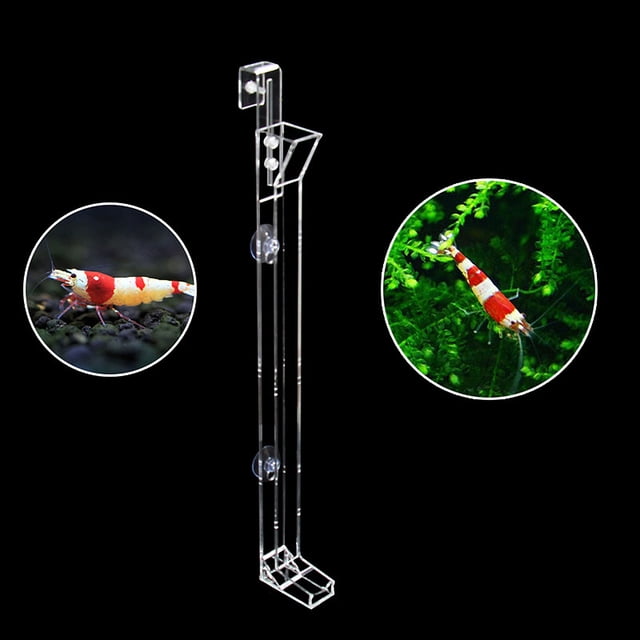 OUNONA Alimentador Transparente Para Camarones Y Peces Con Y Ventosa Para Acuarios