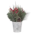 thumbnail image 1 of HOLIDAY TIME PL 15 en métal blanc pot arrangement, 1 of 5
