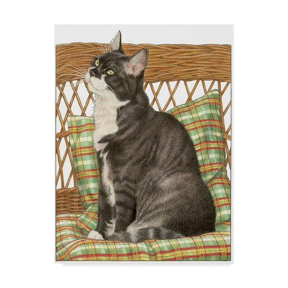 Trademark Fine Art 'Black Cat On Pillow' Canvas Art by Francien Van Westering