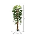 thumbnail image 2 of Vickerman 7' Artificial Artificial Potted Rhaphis Tree., 2 of 3