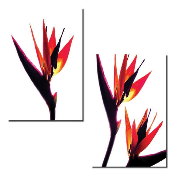Bird of Paradise | Gorgeous Bird of Paradise Silhouette Photograph Print; Two 11x14 Poster Prints