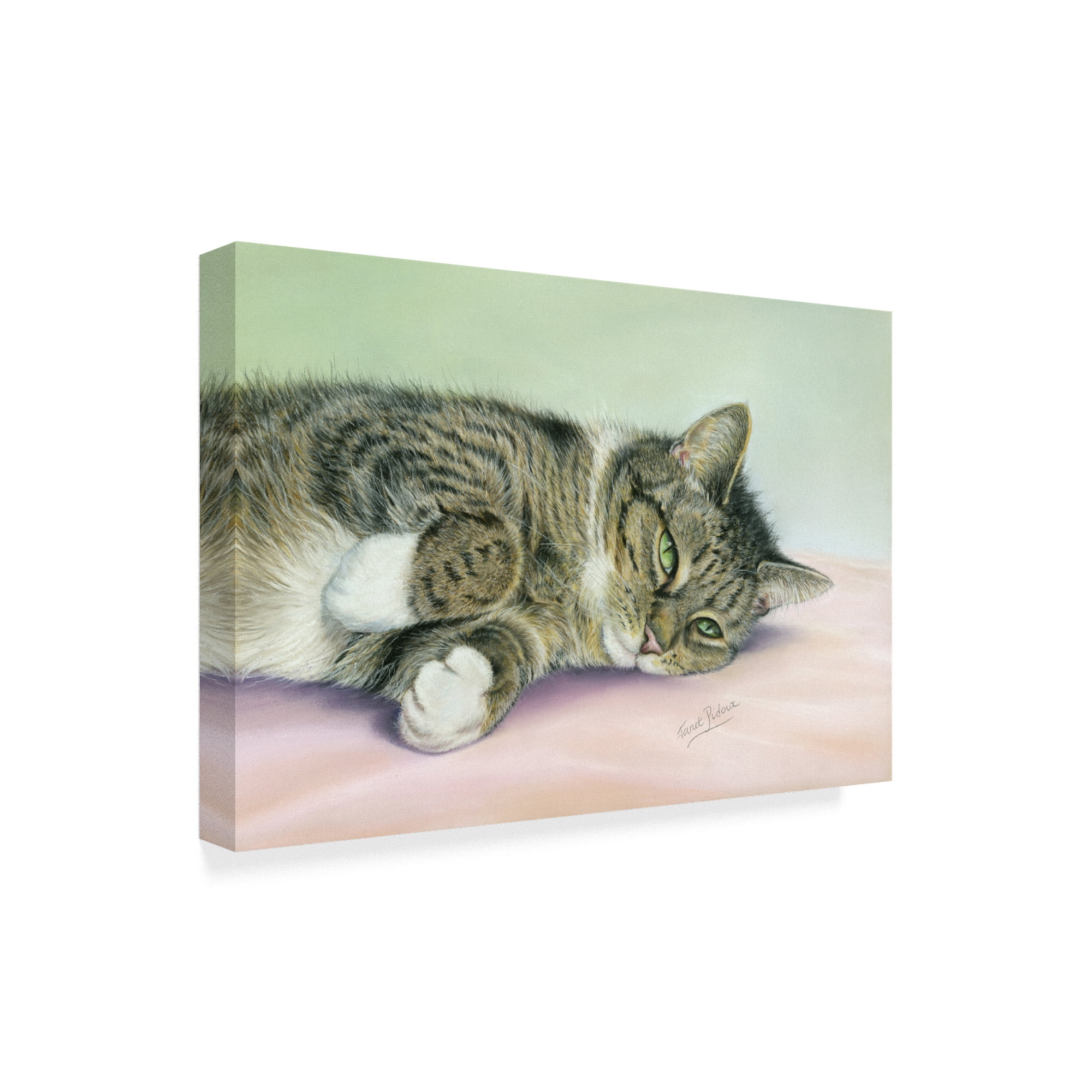 Trademark Fine Art 'Attention Seeker' Canvas Art by Janet Pidoux
