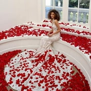 Naler 2000 Pcs Artificial Silk Rose Petals Flowers for Valentines Day Wedding Party Decor, Dark Red