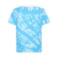 thumbnail image 5 of Sesame Street Short Sleeve Crew Neck T-Shirt (Boys), 3 Pack, Sizes 2T-7, 5 of 6