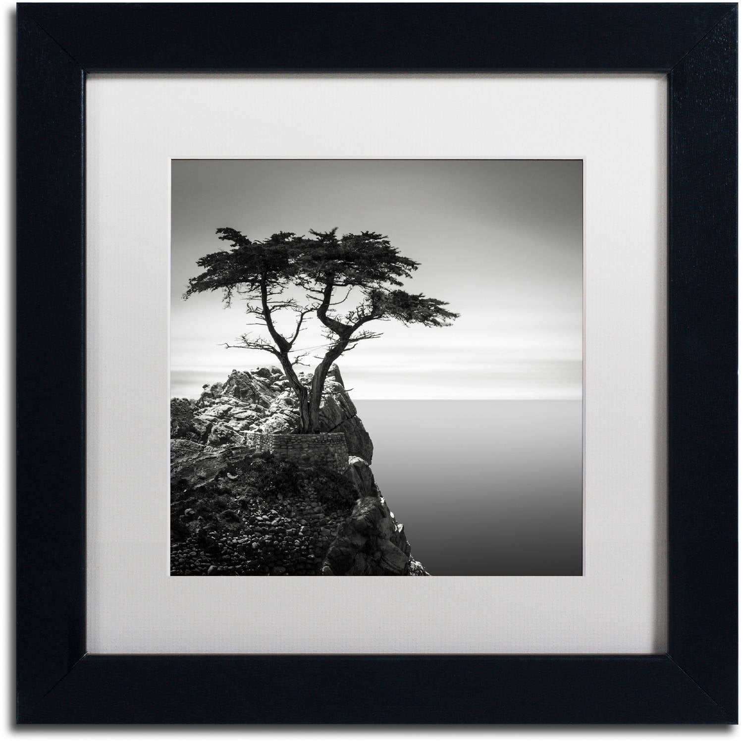 Trademark Fine Art "The Lone Cypress" Canvas Art by Dave MacVicar