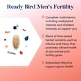 thumbnail image 5 of Best Nest Wellness Ready Bird Fertility Supplement for Men, 3-in-1 Multivitamin, Herbal Blend, 30 Ct, 5 of 6