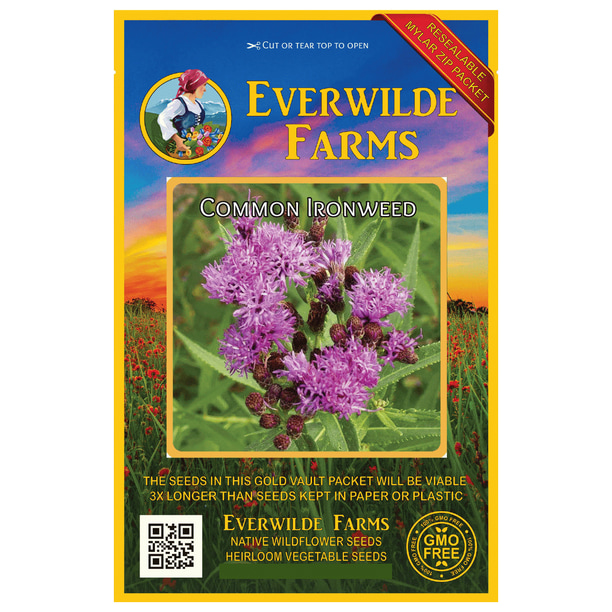 Everwilde Farms 500 Common Ironweed Native Wildflower Seeds Gold Vault Jumbo Bulk Seed