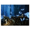 thumbnail image 1 of QualitChoice Puzzle Game For Adults Challenge Brain With 1000 Pieces Blue Not Easily Damaged blue dragonflies, 1 of 6