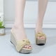 thumbnail image 1 of Zapatos de plataforma de cuña de verano para mujer, zapatillas de tacón alto con plataforma para pies Wmkox8yii hj789, 1 of 9