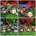 thumbnail image 4 of WASHWEPE 1Jgo Decorativa De Pájaro En Resina Para Jardín Y De Limpiar Multicolor, 4 of 6