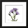 thumbnail image 2 of Purple Gentian Square, Botanical Framed Art Print Wall Art by Albert Koetsier Sold by Art.Com, 2 of 6
