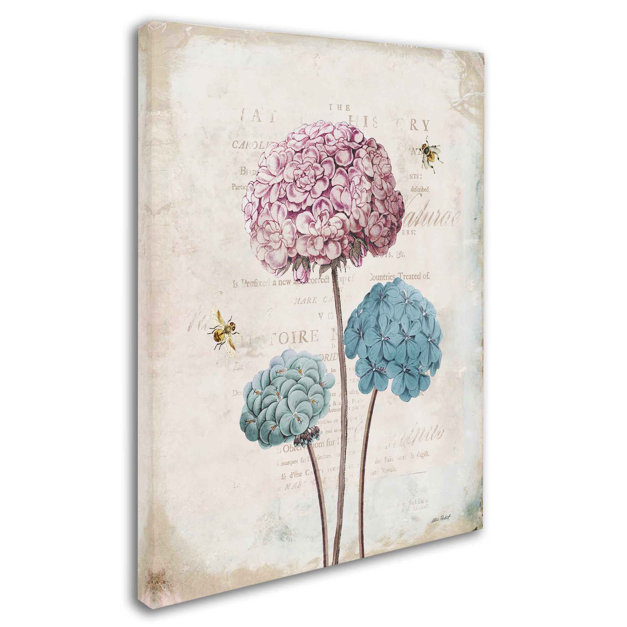 Trademark Fine Art 'Geranium Study I Pink Flower' Canvas Art by Katie Pertiet