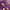 Purple, variant on Yammkia Birthday Tutus for Toddlers Girls Tutu Skirt Tulle Ballet Skirt Princess Tutu for Toddler Baby Kids Birthday for One Size,Red