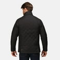 thumbnail image 3 of Regatta Mens Tyler Padded Jacket, 3 of 5