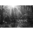 thumbnail image 2 of Deiter, Lori 32x23 Gold Ornate Wood Framed with Double Matting Museum Art Print Titled - Nature - The Best Medicine, 2 of 4
