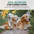 thumbnail image 2 of Mr Ros Pregnancy & Nursing Support Prenatal Vitamin Soft Chews for Dog, Chicken Flavor, 120 Count Jar, 2 of 7