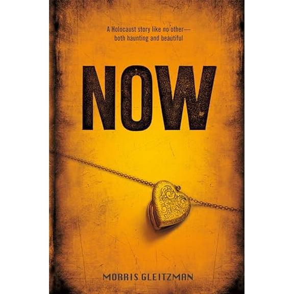 Pre-Owned Now (Paperback) 1250034175 9781250034175