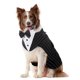 thumbnail image 1 of Set de traje de esmoquin y pañuelo Kuoser para perros grandes, 1 of 7
