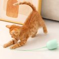 thumbnail image 3 of Cat Wand Toy, Automatic Silicone Tail Teaser Toy 2 In 1 Electronic Interactive Cat Toy With Led Light For Indoor Cats Rechargeable Exercise Toy, 3 of 5