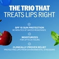 thumbnail image 5 of ChapStick Moisturizer Original, Cool Mint and Black Cherry Lip Balm Tubes Variety Pack - 0.15 Oz (Pack of 3), 5 of 10