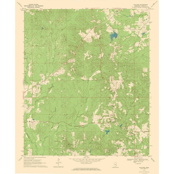 Topographical Map - Paulding Mississippi Quad - USGS 1970 - Vintage Wall Art
