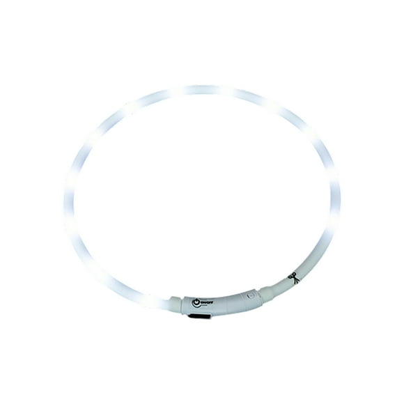 Agiferg Collier pour Animaux de Compagnie LED Chien Clignotant Collier pour Petits Chiens de Taille Moyenne et Grande