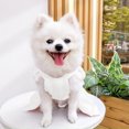 thumbnail image 5 of Nebwoak Dog Wedding Dress with Leash, White Pet Bridal Gown with Big Bow, Cute Dog Formal Outfit for Wedding Ceremony, Photoshoot & Party, Size M, 5 of 6