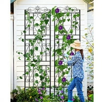 Wisfor Set of 2 Large Black Metal Garden Trellis Rose Grapes Plant Trellis Outdoor Screen,19.7x71.6 inch